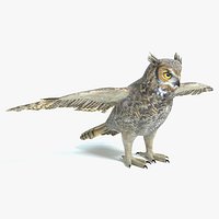 Great Horned Owl