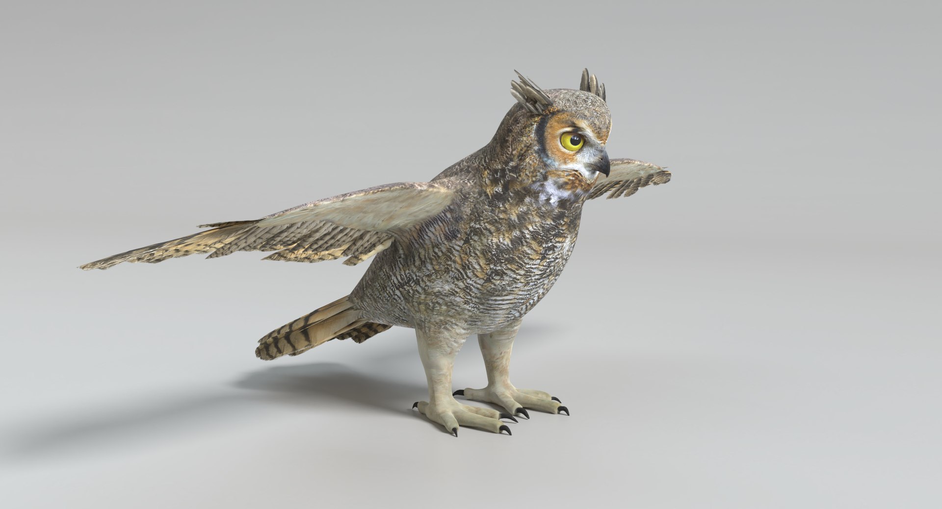 3D Model Great Horned Owl - TurboSquid 1234091