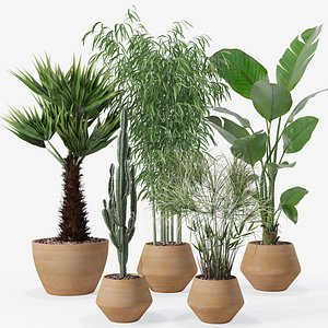 Plants collection 129 3D