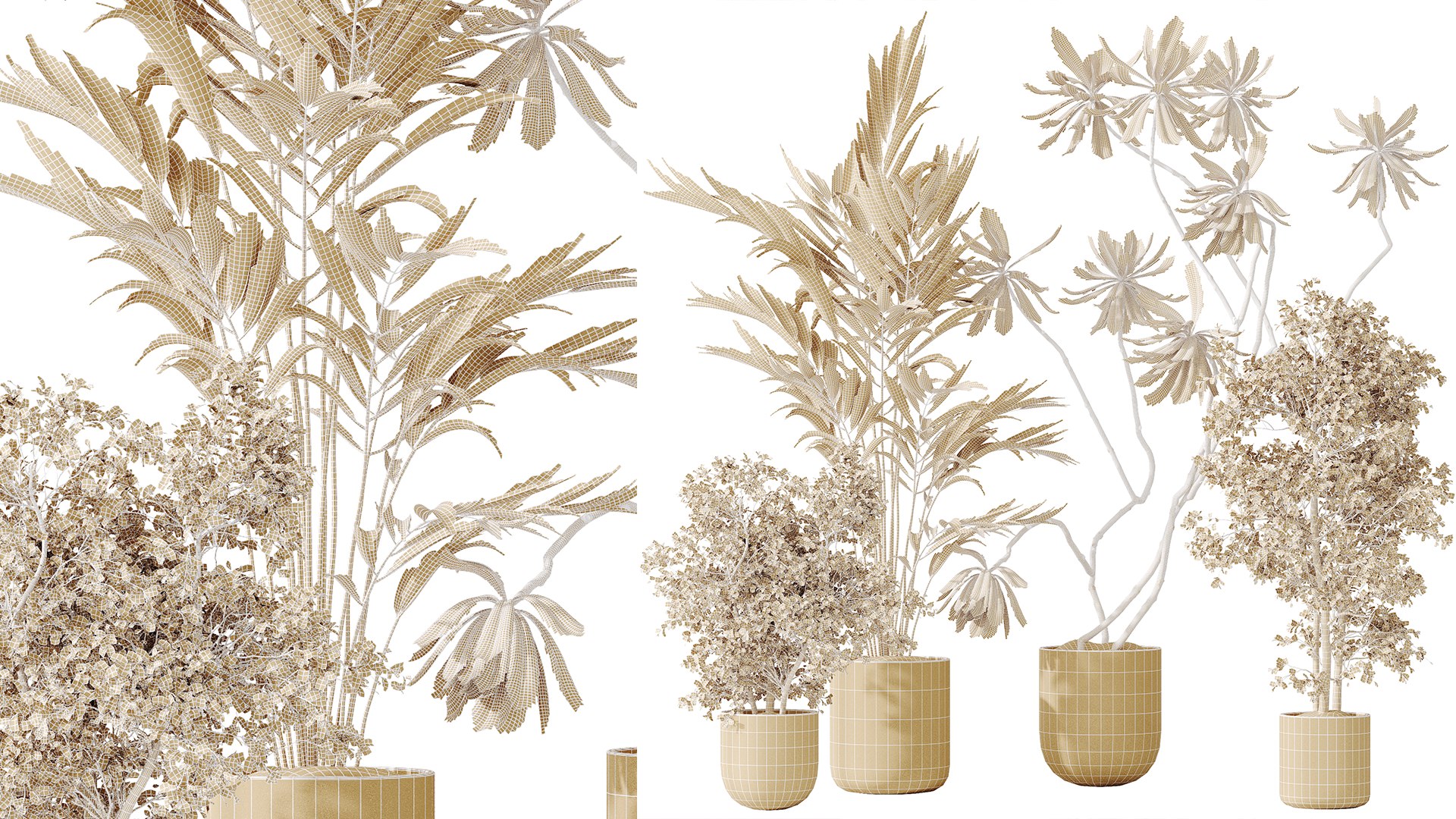 AV Indoor plants set 188 Mission Kalamata Leccino Arbequina Olive and Ficus Cyathistipula and Mounta 3D model https://p.turbosquid.com/ts-thumb/4T/u7YJvF/NZ/07/png/1740391036/1920x1080/fit_q87/af829a6941a6f16b68f75cb1e9ddd7129c38cd59/07.jpg