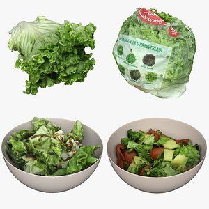 3D Salad Collection 07