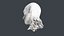 Severed Head