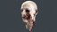 Severed Head