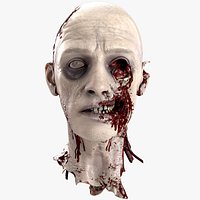 Severed Head