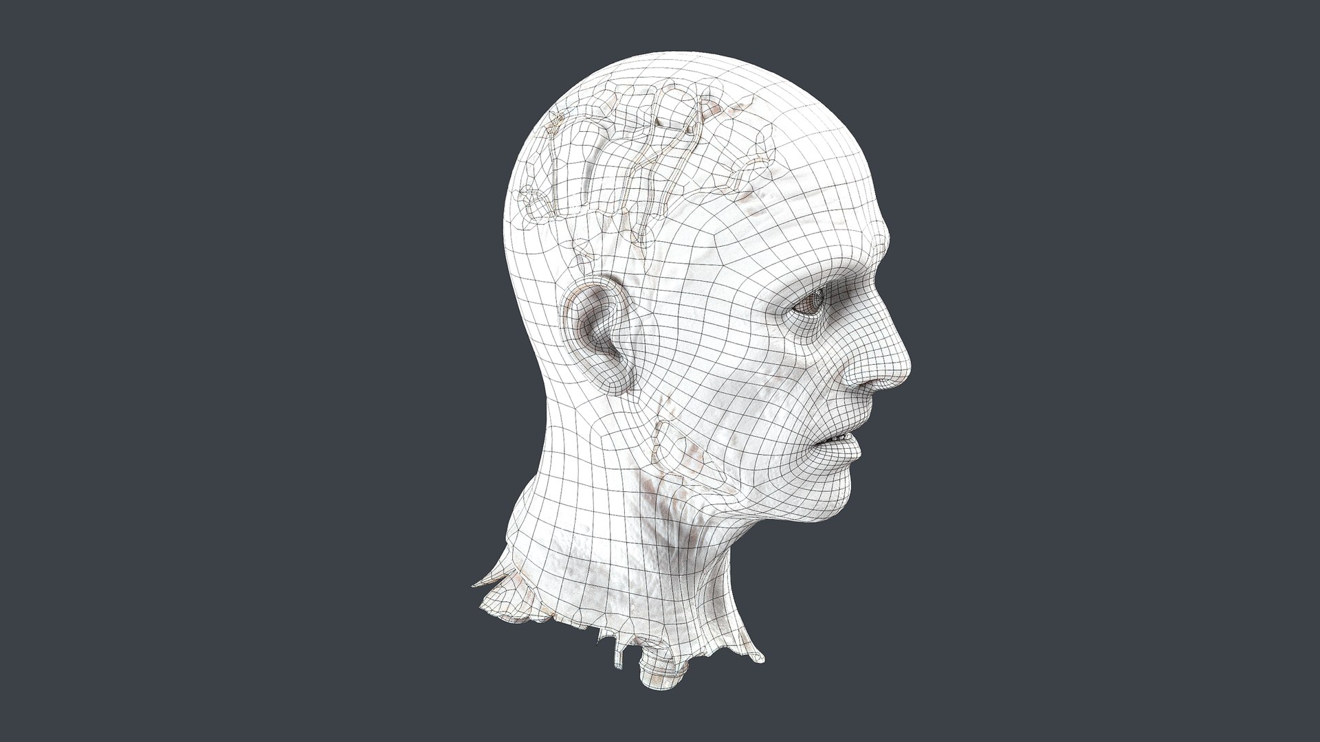 Severed Head 3D model https://p.turbosquid.com/ts-thumb/4U/6OImKR/Qz/wire2/png/1659618023/1920x1080/fit_q87/408848902cb54654557ca8107b9aeca033304a29/wire2.jpg