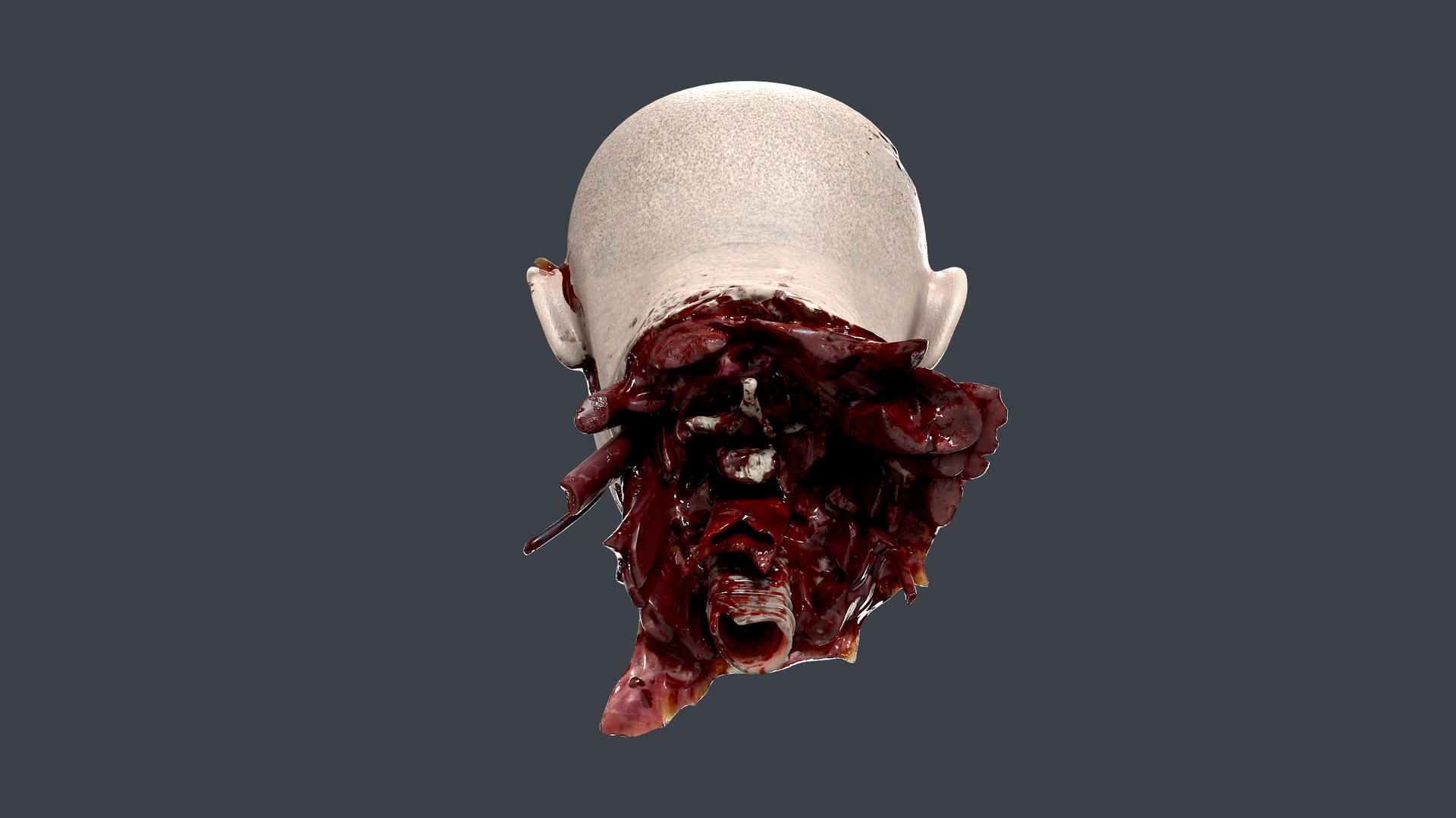 Severed Head 3D model https://p.turbosquid.com/ts-thumb/4U/6OImKR/RC/9/png/1659617993/1920x1080/fit_q87/253b92d4326e21bc2f7e16d0d4c001ce68bcd99e/9.jpg