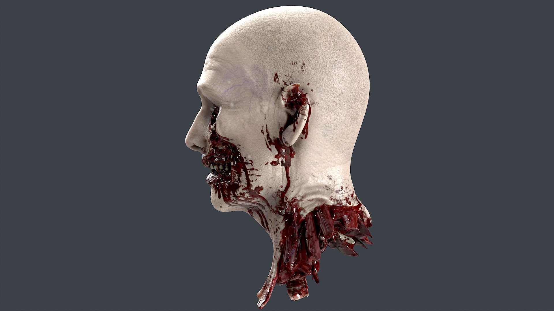 Severed Head 3D model https://p.turbosquid.com/ts-thumb/4U/6OImKR/Rb/4/png/1659617990/1920x1080/fit_q87/ff788757d34c036677797249fc735580e6650f67/4.jpg
