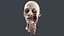 Severed Head