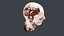Severed Head