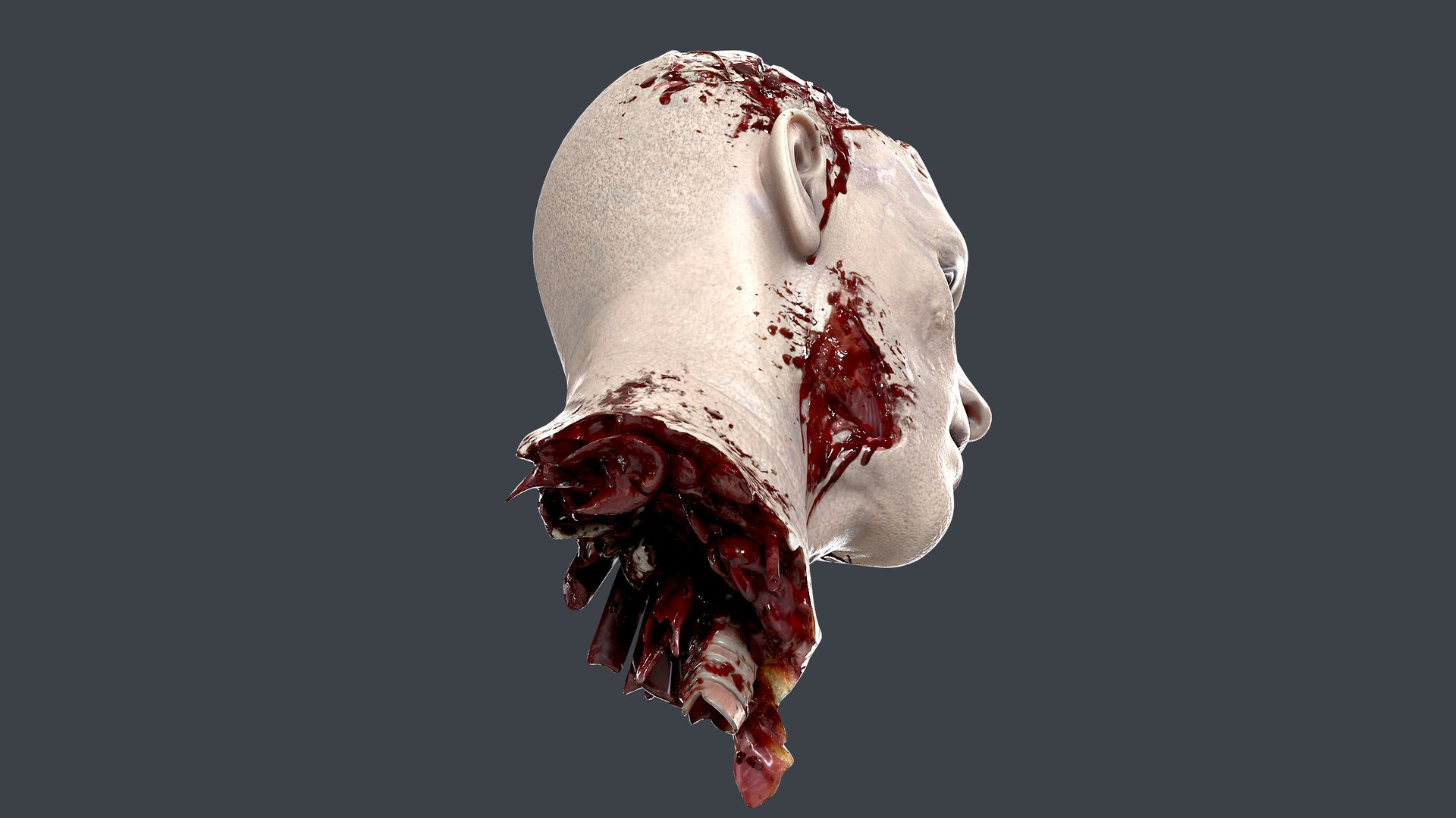 Severed Head 3D model https://p.turbosquid.com/ts-thumb/4U/6OImKR/pa/7/png/1659617992/1920x1080/fit_q87/50f0eaa0a597c42b7bdc6464dd60bd7cba465488/7.jpg