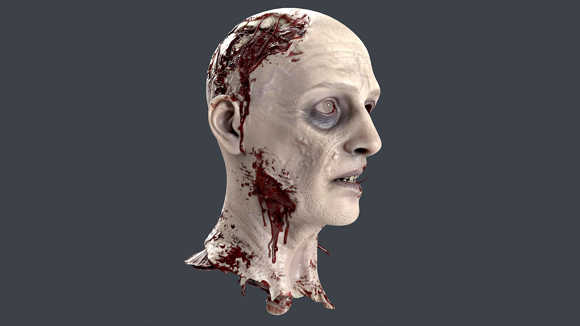 Severed Head 3D model https://p.turbosquid.com/ts-thumb/4U/6OImKR/wy/2/png/1659617988/1920x1080/fit_q87/b0446754aadafb3e861843272aa375eb839fc9e2/2.jpg