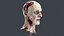 Severed Head
