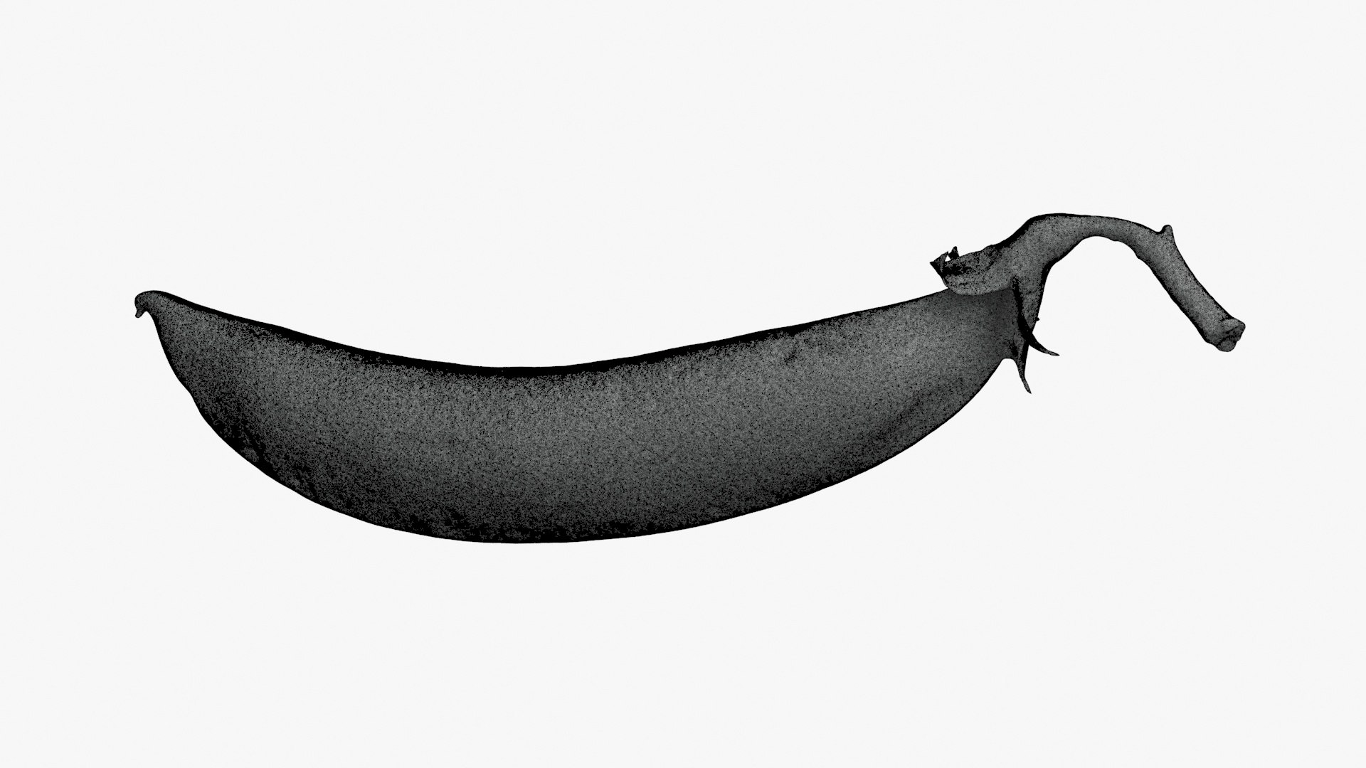 3D Snap Pea Scan https://p.turbosquid.com/ts-thumb/4U/BsrNdn/NP/snappea02_g0003/jpg/1720514093/1920x1080/fit_q87/6360cea8f78619fa6aa653ac6678b5e25fd5766b/snappea02_g0003.jpg