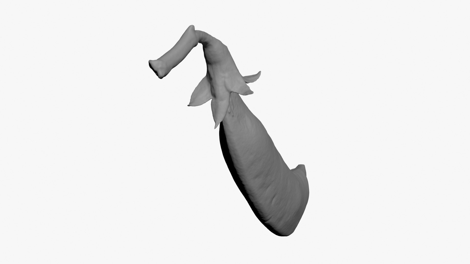 3D Snap Pea Scan https://p.turbosquid.com/ts-thumb/4U/BsrNdn/Pt/snappea02_b0020/jpg/1720514092/1920x1080/fit_q87/4bb1adcd064587ddb05dcb21d0604b15aba8ac1d/snappea02_b0020.jpg