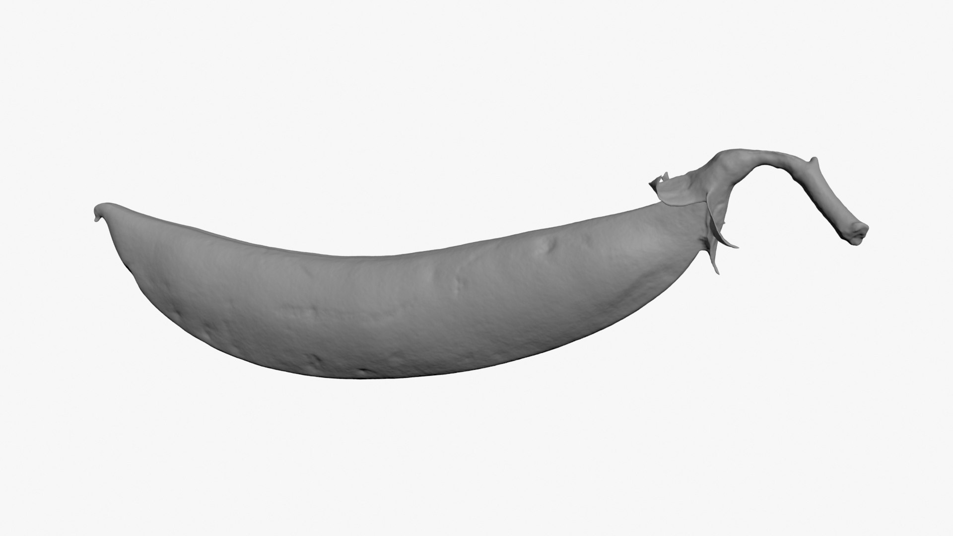 3D Snap Pea Scan https://p.turbosquid.com/ts-thumb/4U/BsrNdn/aG/snappea02_b0004/jpg/1720514087/1920x1080/fit_q87/61508441601ba6d4fc8d786c2e87e95cdf13a687/snappea02_b0004.jpg