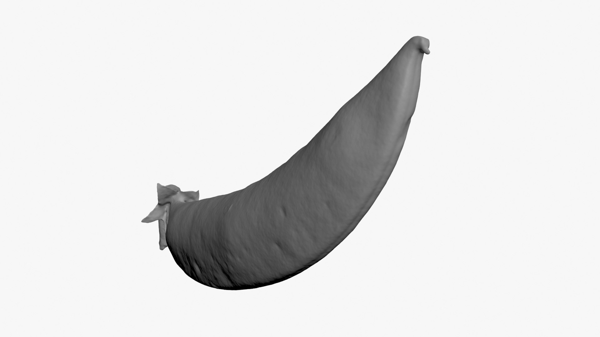 3D Snap Pea Scan https://p.turbosquid.com/ts-thumb/4U/BsrNdn/rC/snappea02_b0010/jpg/1720514089/1920x1080/fit_q87/563a1b0bf7fcd2ff0f85618f3d1aeaac4d421393/snappea02_b0010.jpg