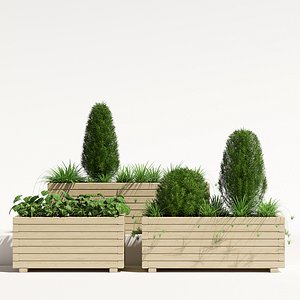 pots pine planter 3D model