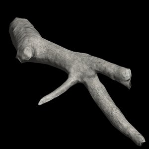 3D drift wood 1