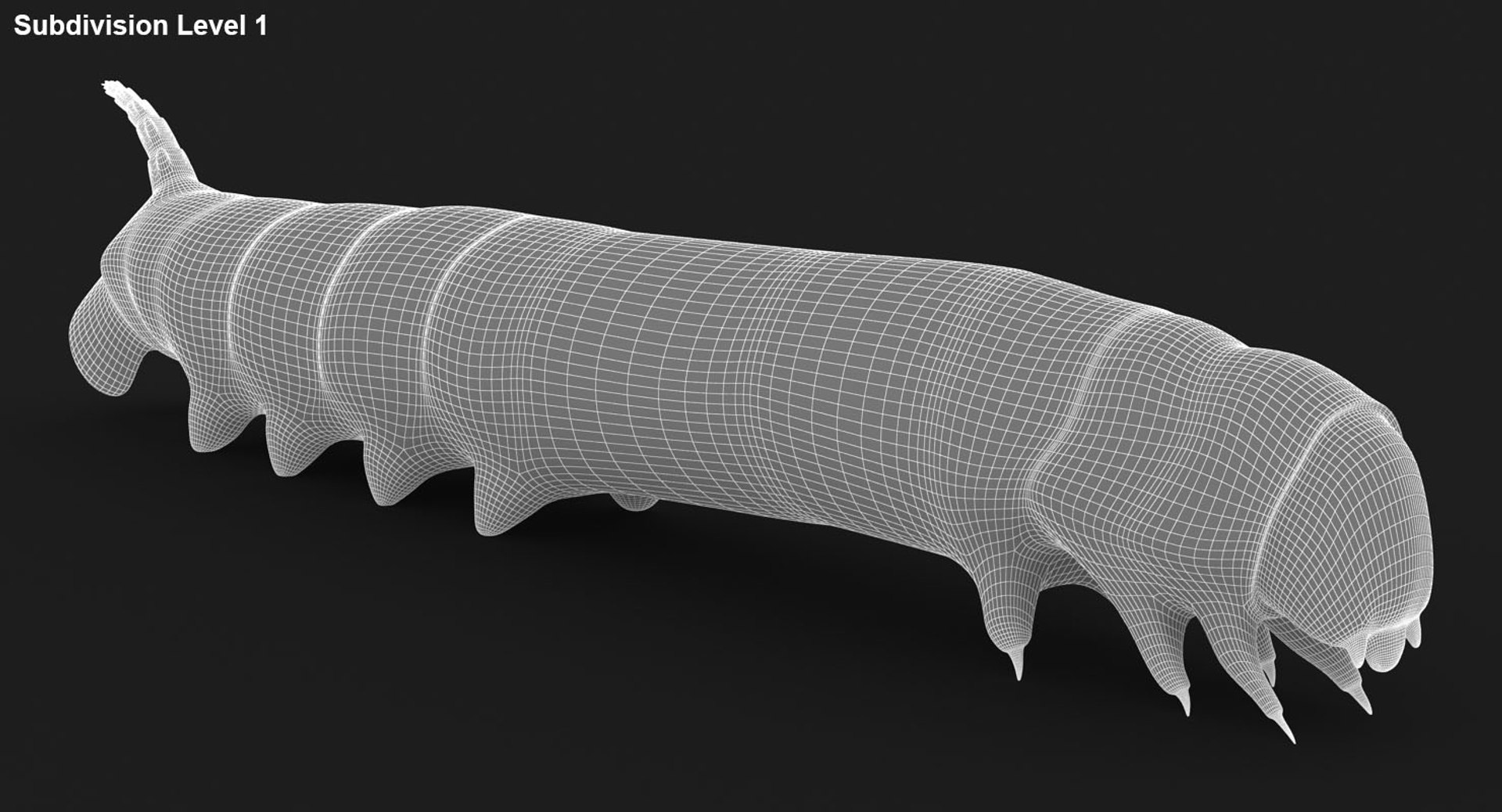 3D model realistic insect - TurboSquid 1400008