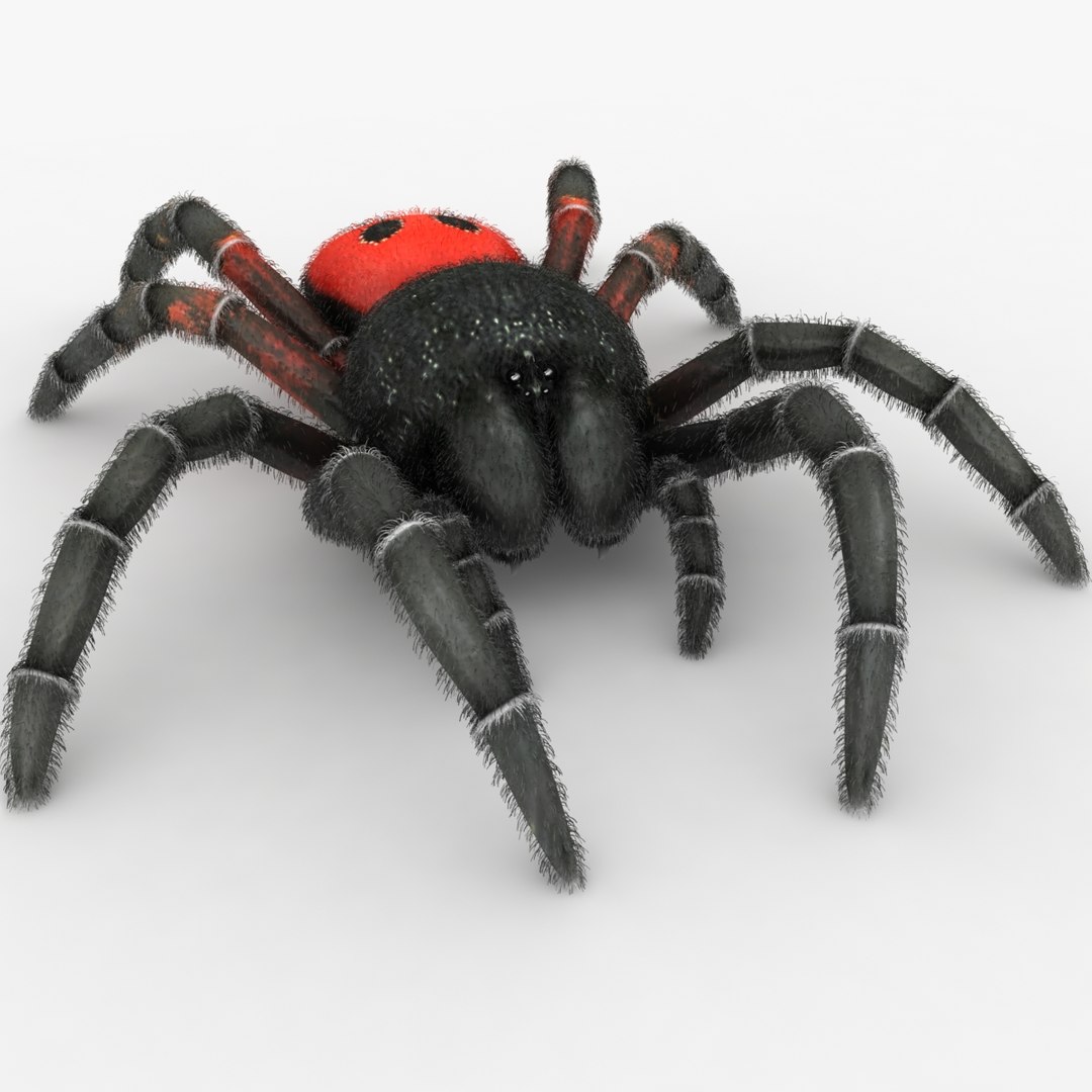 3D model realistic insect - TurboSquid 1400008