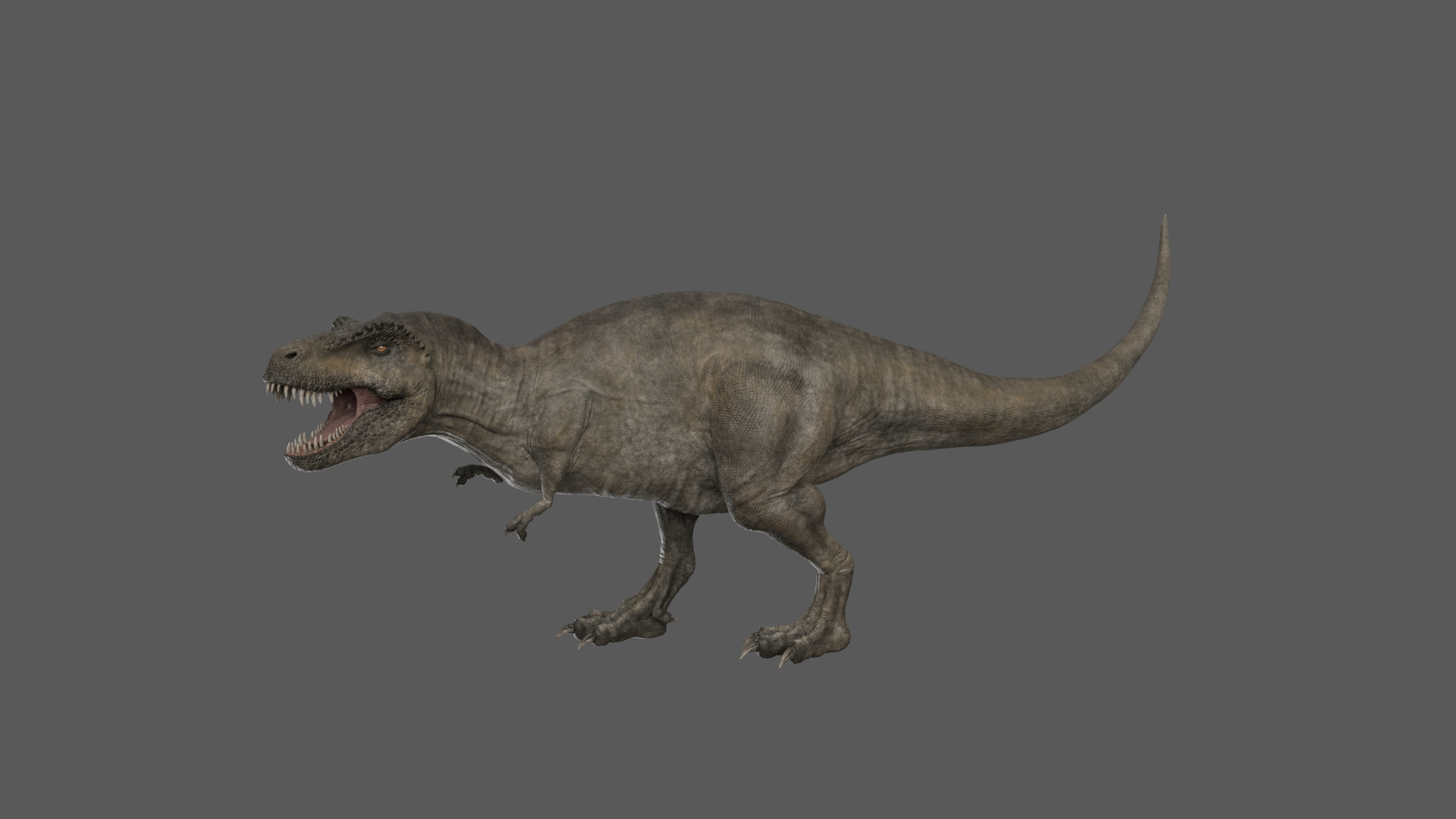 3D Rigged Tyrannosaurus Rex T-rex Animation Model - TurboSquid 1534431