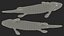 Tiktaalik preparado para Cinema 4D