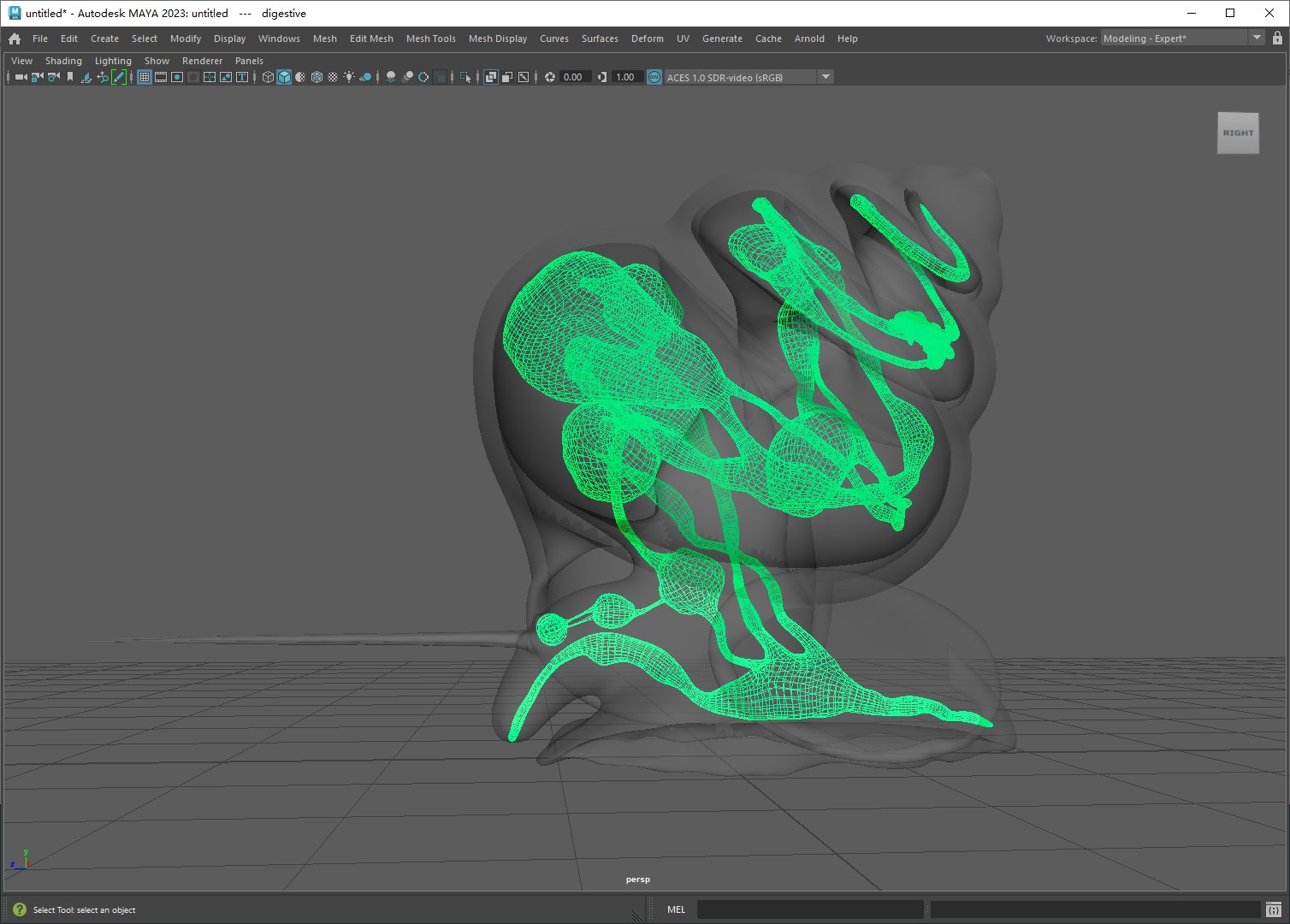Snail With Entrails Model - TurboSquid 1911984