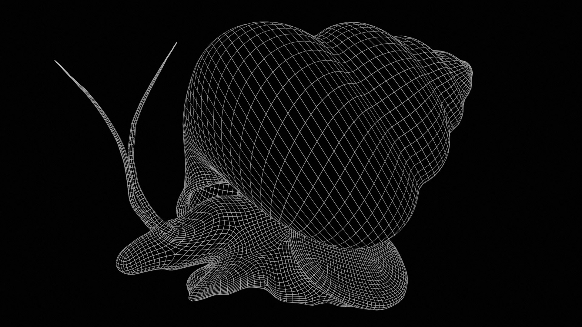 Snail With Entrails Model - TurboSquid 1911984