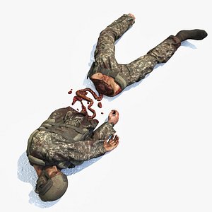 Fallen Soldier 3