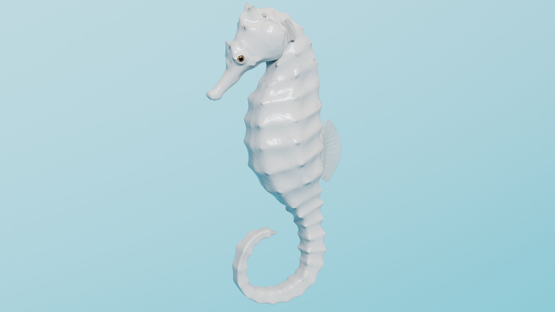 3D Pacific Seahorse Rigged Animated - TurboSquid 2033112