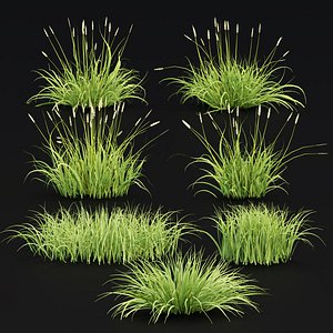 Summer Wild Grass collection vol 224-Blender-3dmodels 3D