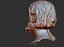 Male Head002