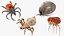 3D model Parasites Rigged Collection