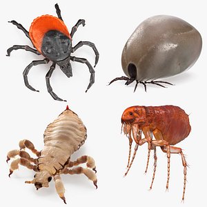 3D model Parasites Rigged Collection