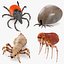 Parasites Rigged Collection