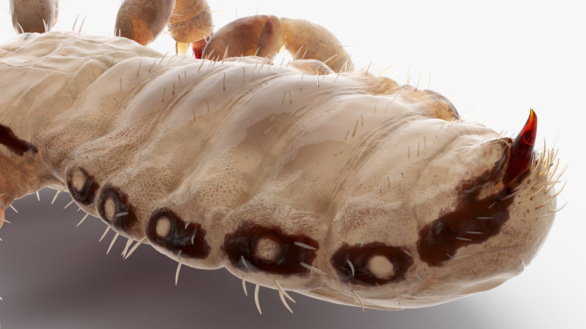 3D model Parasites Rigged Collection https://p.turbosquid.com/ts-thumb/4V/cbCRSr/Tx/parasites_collection_rigged_031/jpg/1771407177/1920x1080/fit_q87/0b04db66e67c21bb2e972e218606e6a077a193ce/parasites_collection_rigged_031.jpg