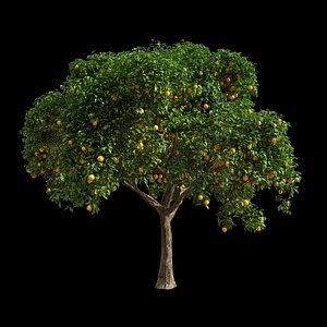 3D fruit tree orange