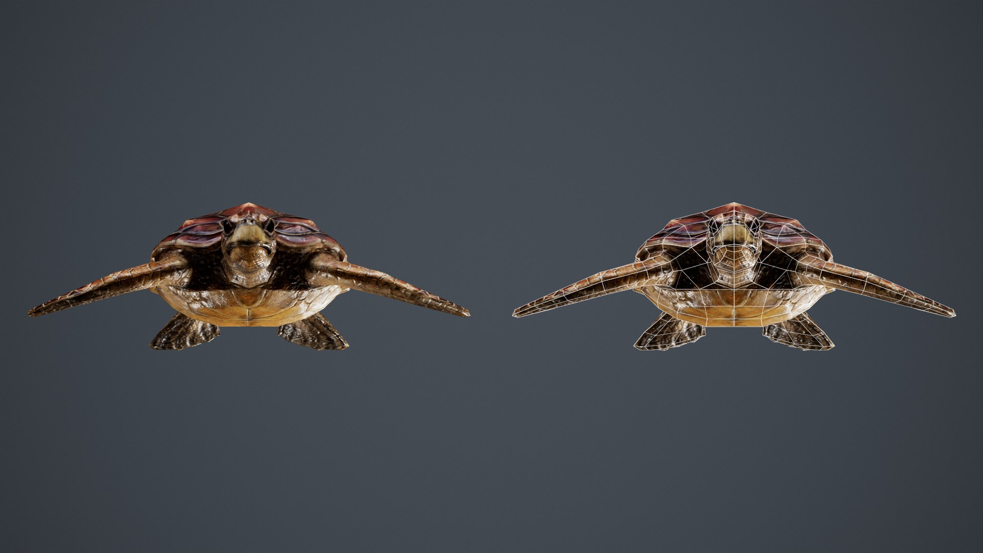 Sea Turtle - PBR Game Ready model https://p.turbosquid.com/ts-thumb/4V/qXcMTI/J4/front/png/1651559946/1920x1080/fit_q87/ea8b53ebfdd9719638b9aab0f1a95167e3fdb9e9/front.jpg
