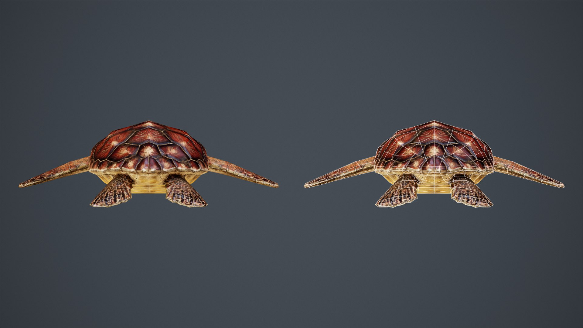 Sea Turtle - PBR Game Ready model https://p.turbosquid.com/ts-thumb/4V/qXcMTI/MT/back/png/1651560066/1920x1080/fit_q87/a343e521d73bebf75742e3c8d361a2b5d045dca8/back.jpg