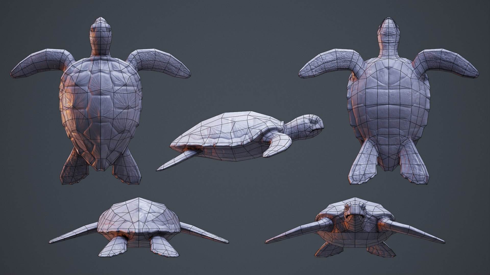 Sea Turtle - PBR Game Ready model https://p.turbosquid.com/ts-thumb/4V/qXcMTI/YP/sea_turtle_wireframe/png/1651558919/1920x1080/fit_q87/953c79129156a6ec289004e1d6b93b8a5f04bad9/sea_turtle_wireframe.jpg