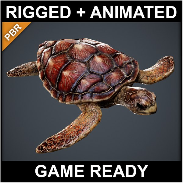 바다 거북 - PBR 게임 준비 3D 모델 - TurboSquid 1891378