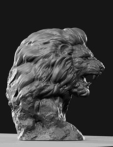 Lion Head , face