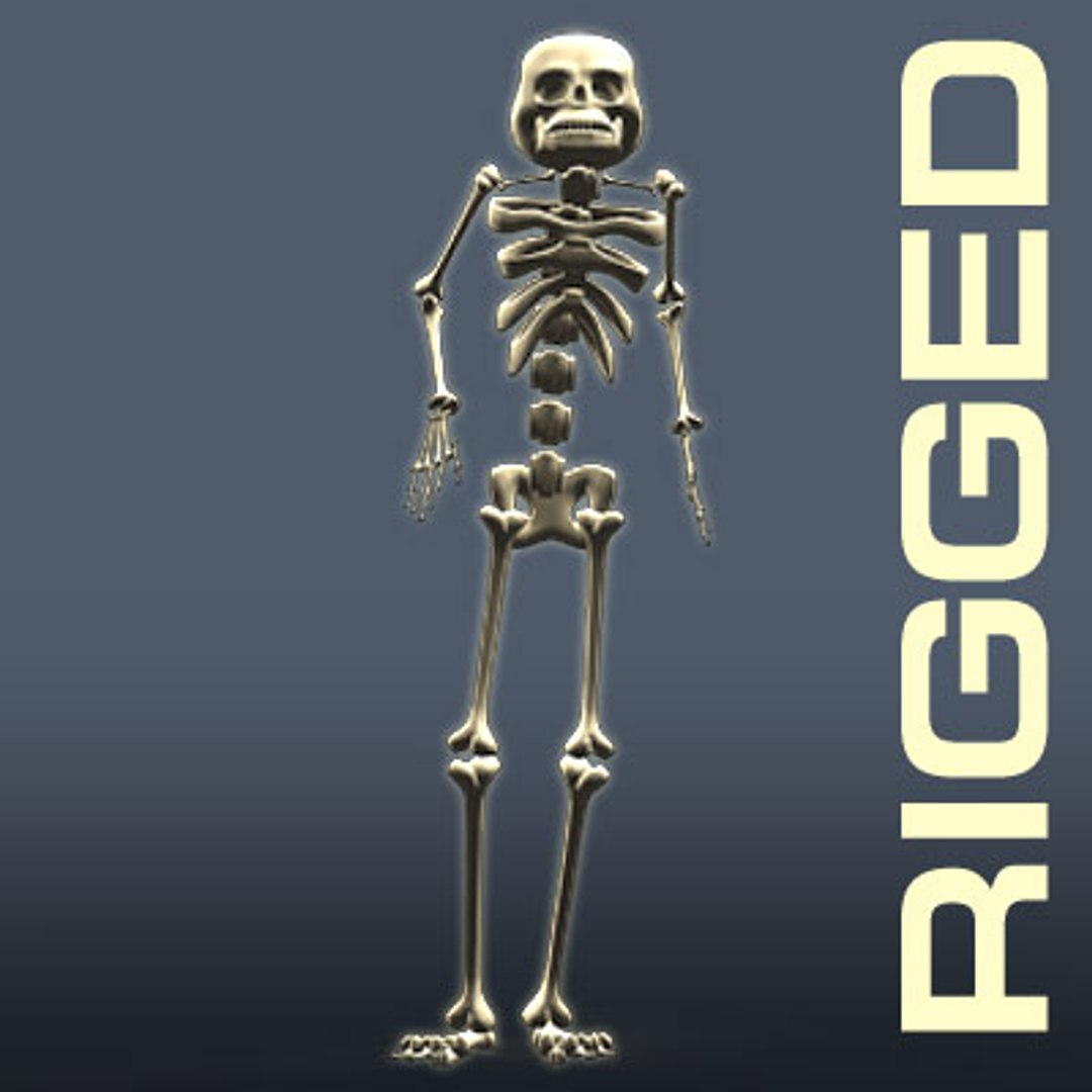 maya rigged cartoon sceleton https://p.turbosquid.com/ts-thumb/4W/6mRos8/YyqmyAjD/sceleton_00/jpg/1233745295/1920x1080/fit_q87/028773a1b14fe996b2eeffe68b180ec4cb6e55eb/sceleton_00.jpg