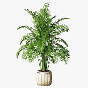 palm pot model