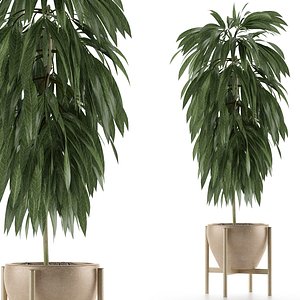 3D single plant 13 model