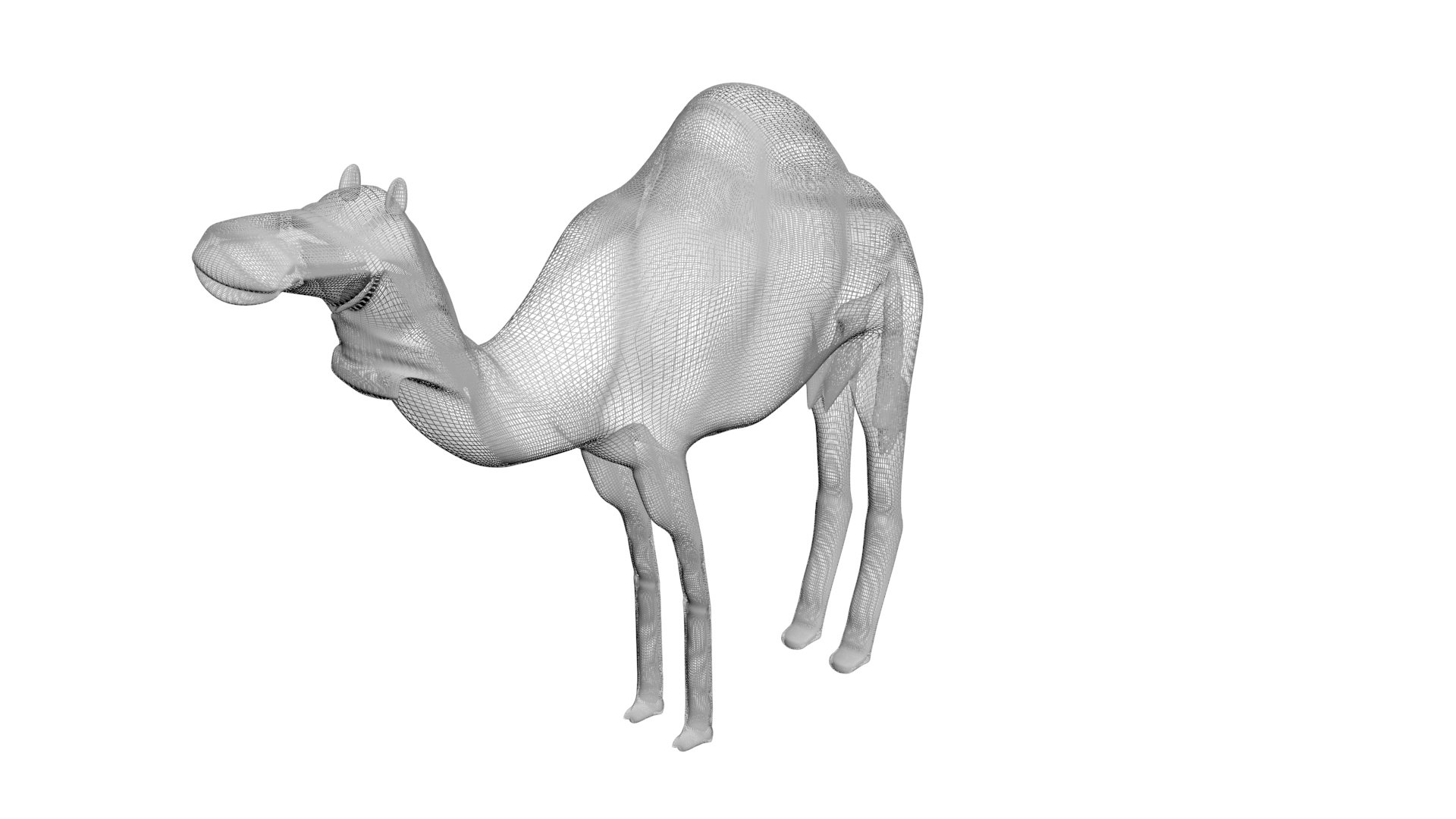 Camel 3D https://p.turbosquid.com/ts-thumb/4W/CfQv2y/B1/camel14/jpg/1656579523/1920x1080/fit_q87/a18e9901ff58195317c4fde84e04a9abbdacfa7d/camel14.jpg