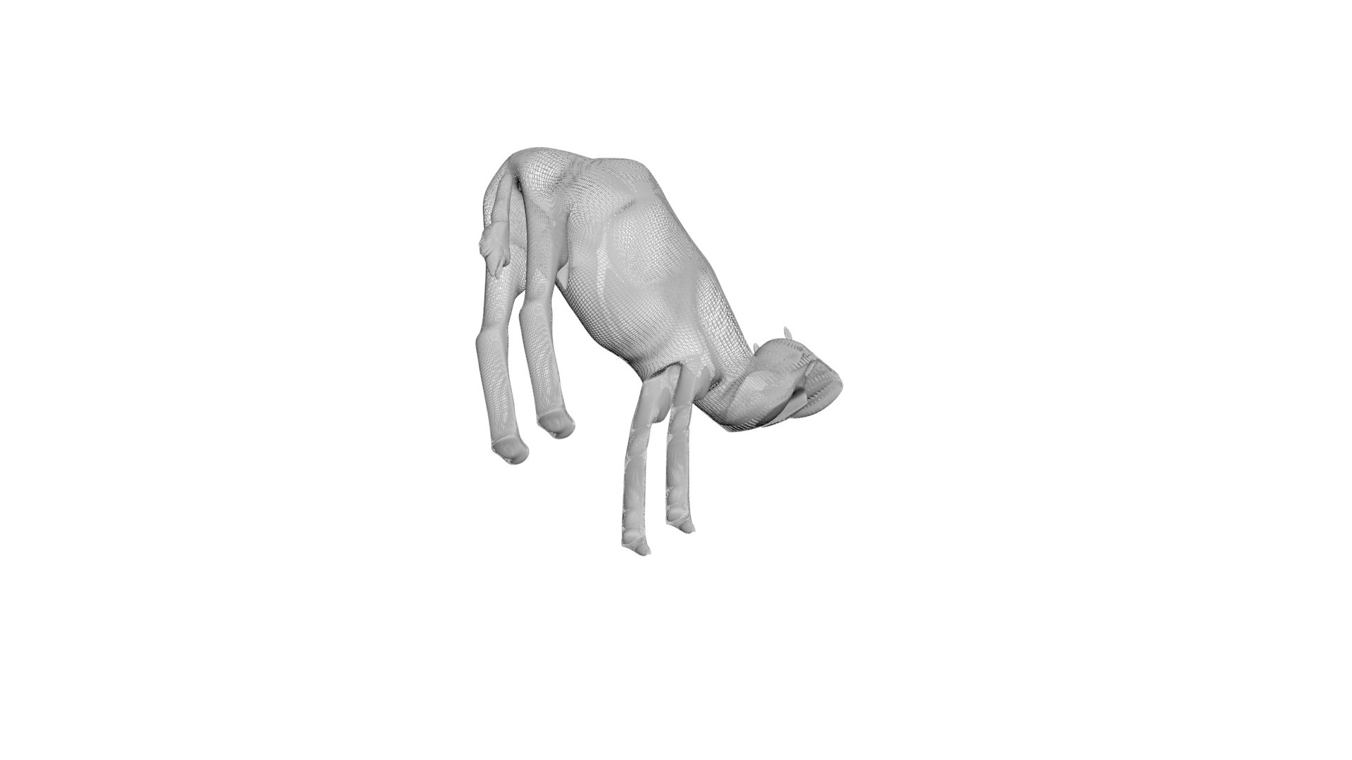 Camel 3D https://p.turbosquid.com/ts-thumb/4W/CfQv2y/IG/camel16/jpg/1656579524/1920x1080/fit_q87/bd1604aa5b1b0e676b3ee49dabb7c522d4794ebb/camel16.jpg