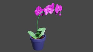 orquídea vaso 3D