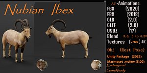 Nubian Ibex Goat 3D model
