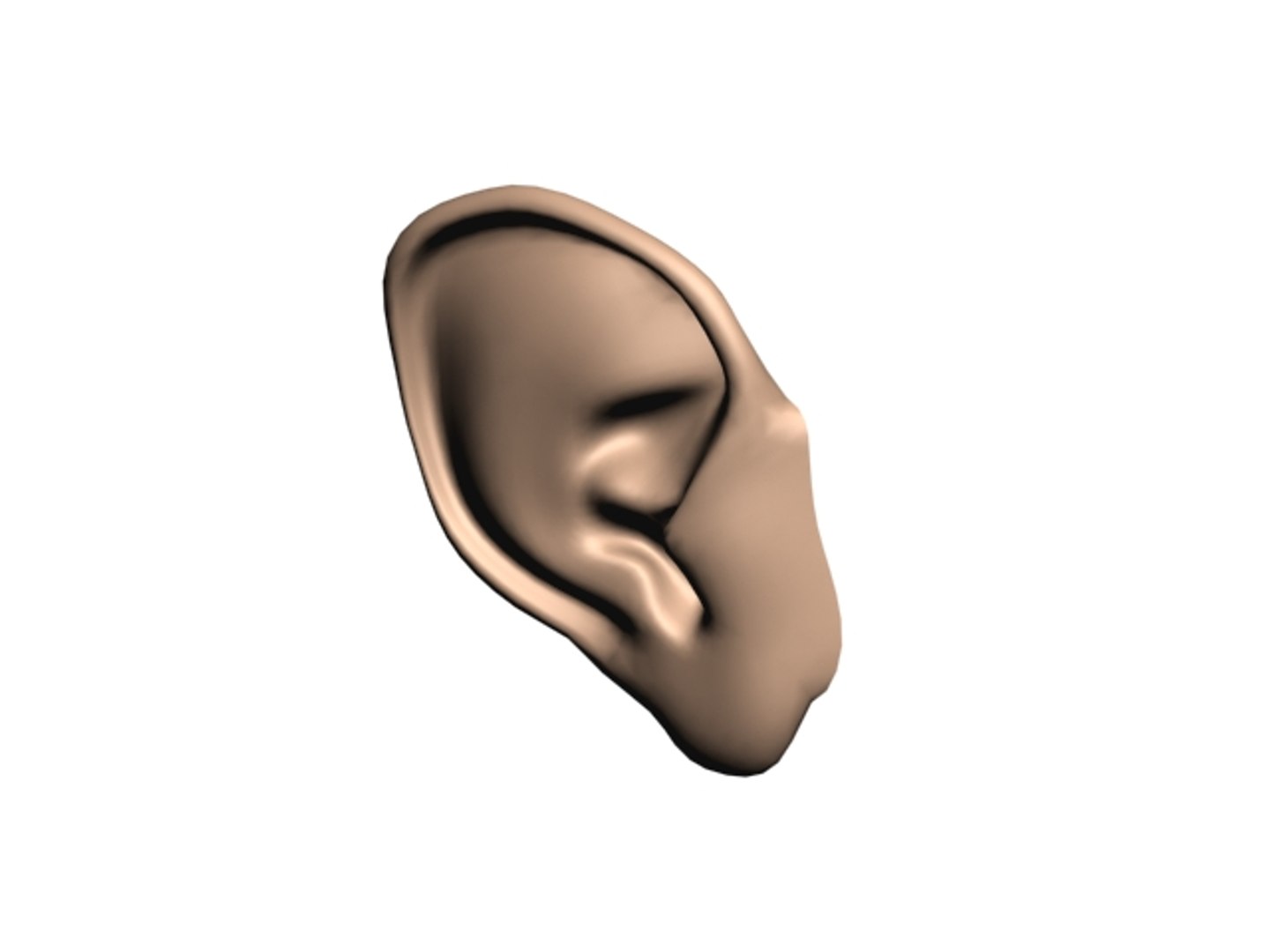 Free Ear 3d Model
